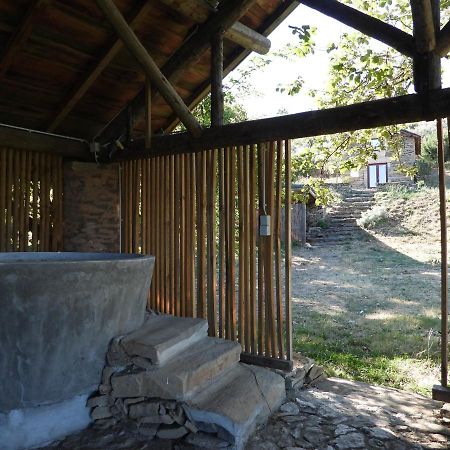 Quinta Da Alagoa Villa Santa Maria de Émeres Kültér fotó