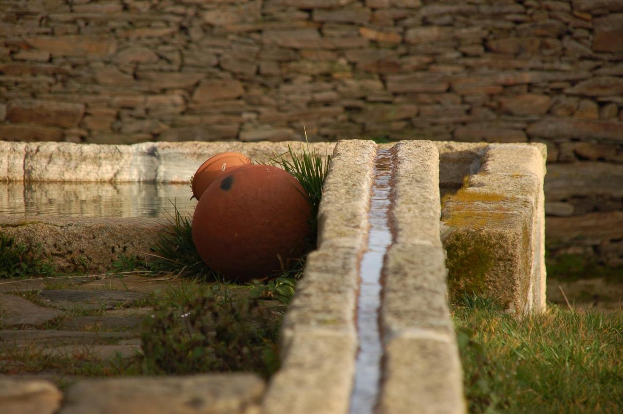 Quinta Da Alagoa Villa Santa Maria de Émeres Kültér fotó