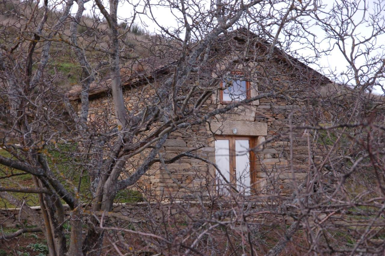 Quinta Da Alagoa Villa Santa Maria de Émeres Kültér fotó