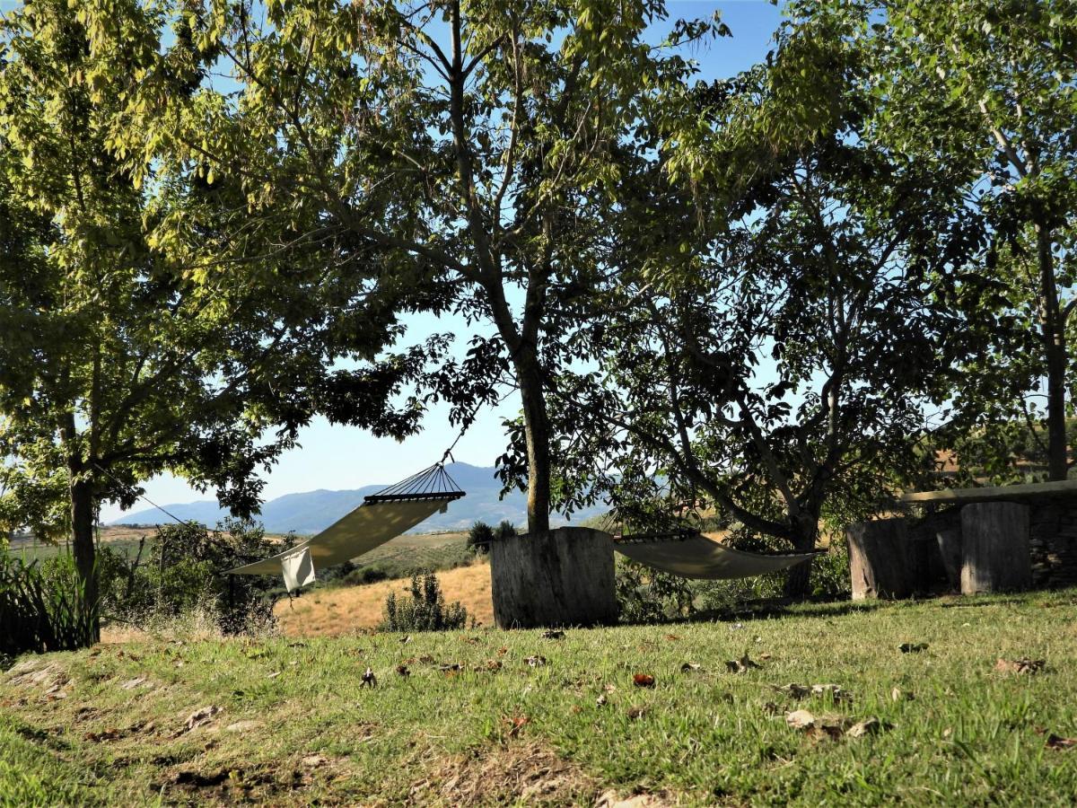 Quinta Da Alagoa Villa Santa Maria de Émeres Kültér fotó