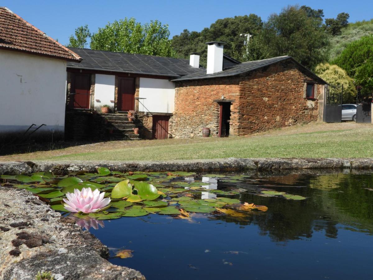 Quinta Da Alagoa Villa Santa Maria de Émeres Kültér fotó