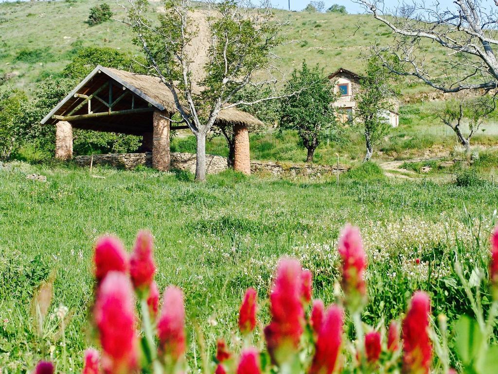 Quinta Da Alagoa Villa Santa Maria de Émeres Kültér fotó