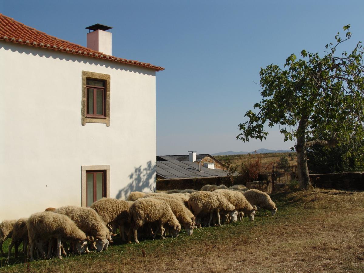 Quinta Da Alagoa Villa Santa Maria de Émeres Kültér fotó