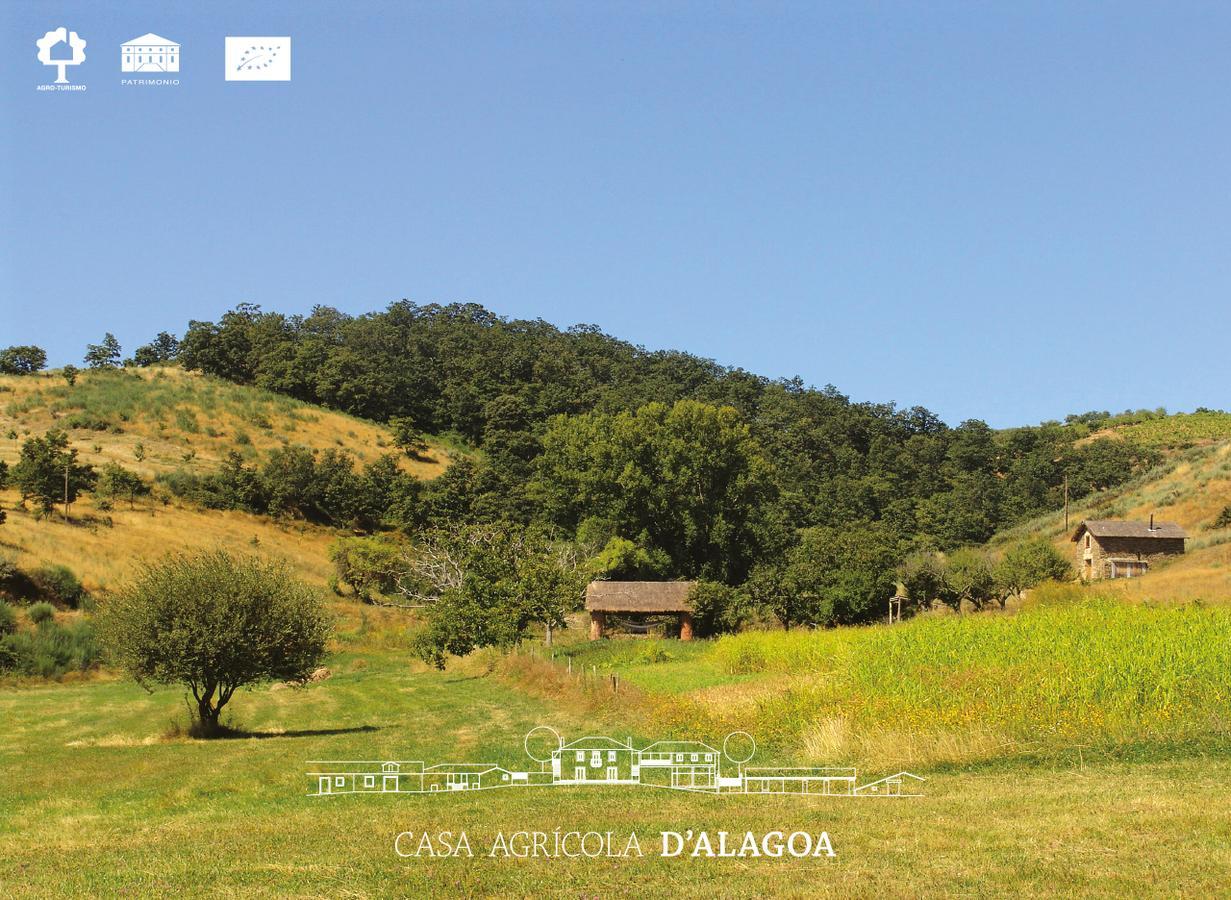 Quinta Da Alagoa Villa Santa Maria de Émeres Kültér fotó