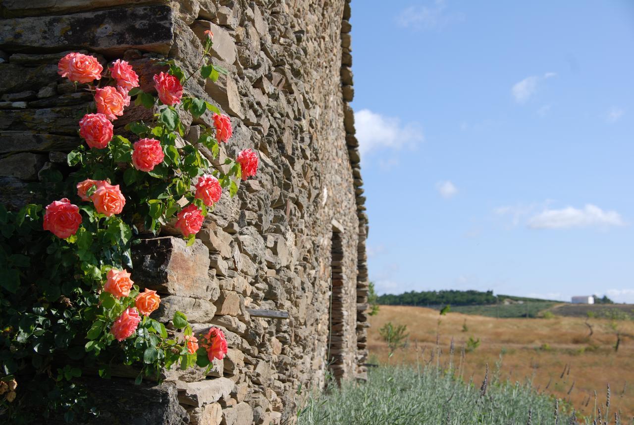 Quinta Da Alagoa Villa Santa Maria de Émeres Kültér fotó